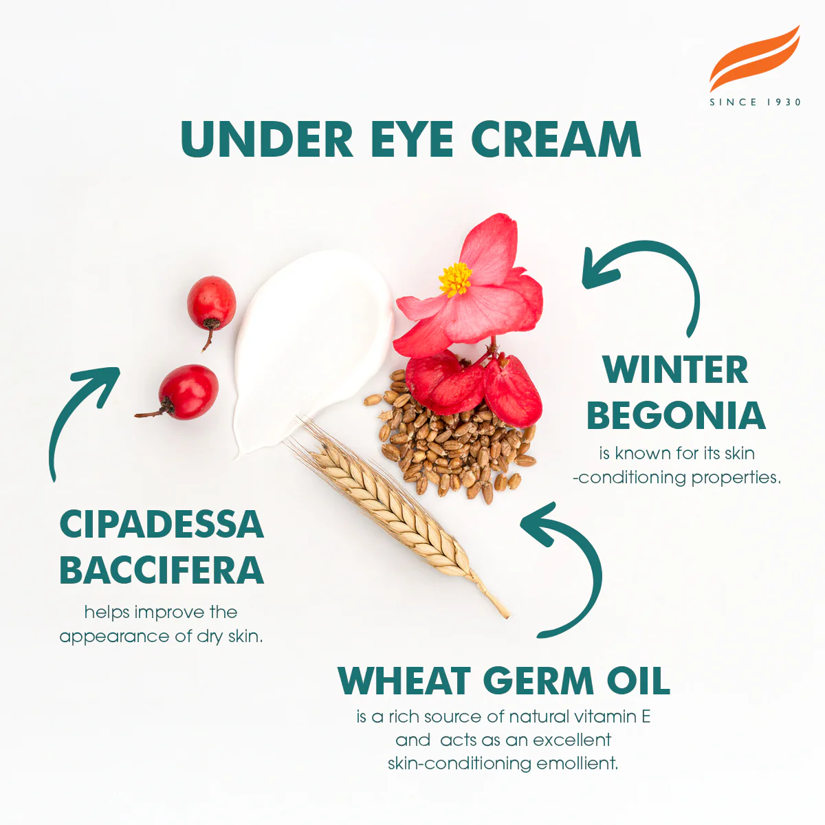 Himalaya Under Eye Cream - 15ml - Image 4