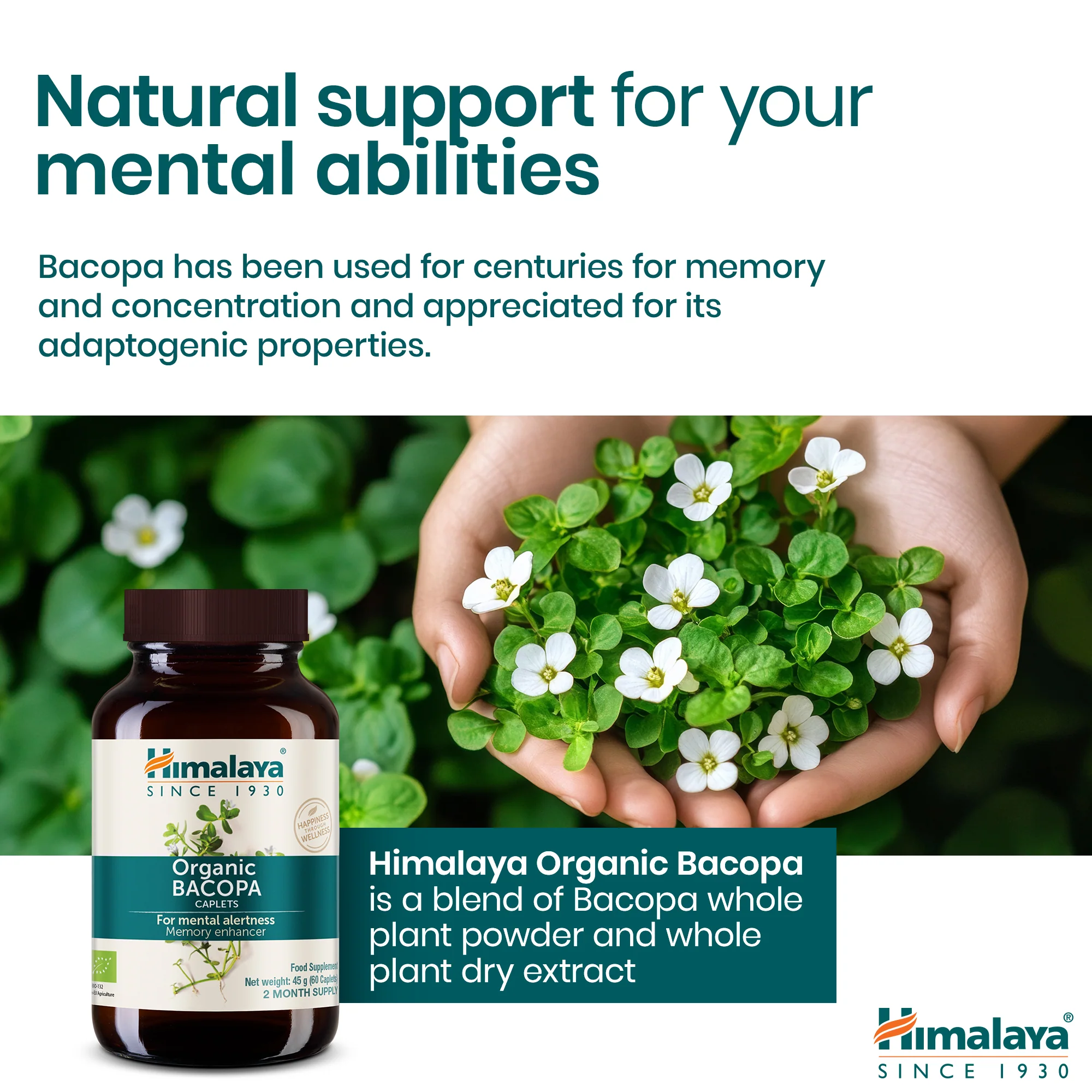 Himalaya Organic Bacopa (Brahmi) - Image 3