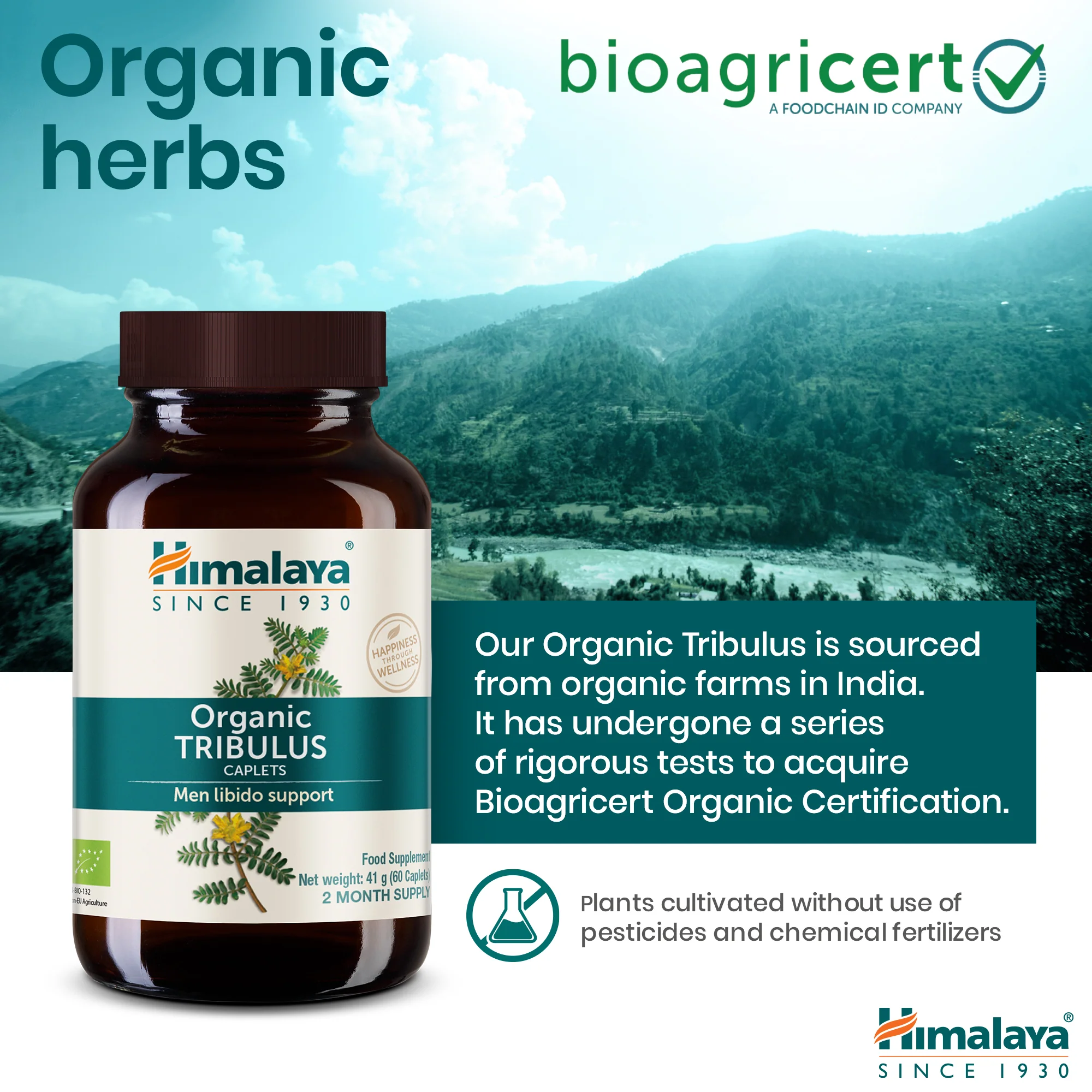 Himalaya Organic Tribulus (Gokshura) - Image 7