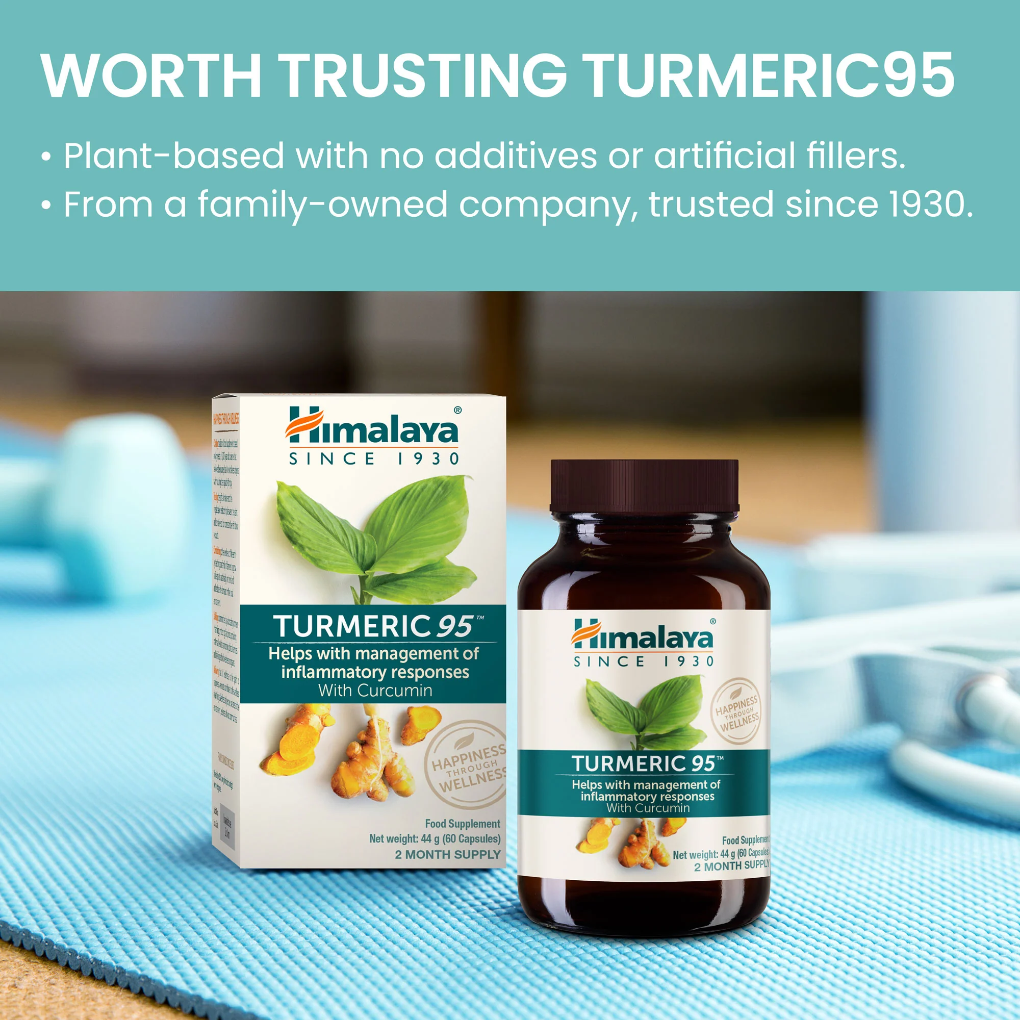 Himalaya Turmeric 95 (Curcuma) - Image 3